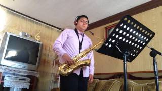 Thank You Saxo Tenor Dido Cover [upl. by Einhpets]