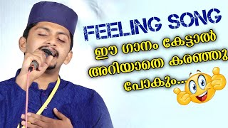 Nasif Calicut  New Nonstop Song  Burdha Majlis [upl. by Nelyag971]