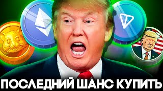 Лучшая Криптовалюта на Лето 2024 Монета Трампа Hamster Kombat Toncoin Криптовалюта для начинающих [upl. by Atikir]