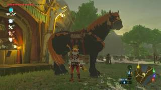 Breath of the Wild How to Customize Your Horse [upl. by Shaer]