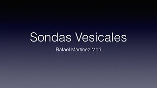 Sondas Vesicales [upl. by Ynoep593]