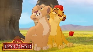 The Lion Guard quotHakuna Matataquot Song From The Lion King 🎶  disneyjr [upl. by Hylton]