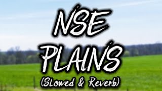 NSE  Plains [upl. by Libys]