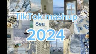 TikTok mashup 2024NOT CLEANtiktokmashup dances viral song 2024 mashup edit frypシ [upl. by Anelagna784]