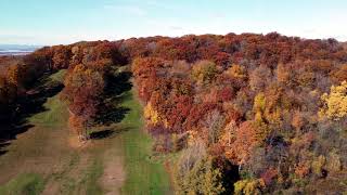 Hardack Recreation Area  Fall Foliage 2024 [upl. by Marney]