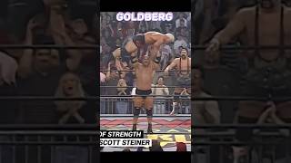 WWE  Brock Lesnar vs Goldberg Comparison with Proof tranding romanreigns wwe viralvideo [upl. by Ahse]