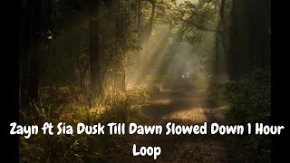 Zayn ft Sia Dusk Till Dawn Slowed Down 1 Hour Loop [upl. by Ambrosi]