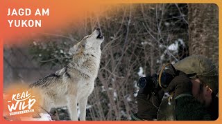 Jagd am Yukon Extremes Klima Extremes Leben  Real Wild Deutschland [upl. by Placido]