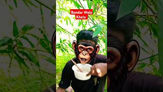 bandar mama 🐒😂🤣 monkey bandar funnyshorts shorts [upl. by Dan]