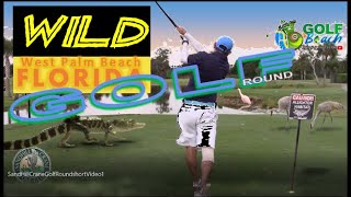 Sand Hill Crane Golf Palm Beach Gardens Short Video [upl. by Nelsen]