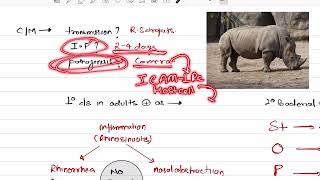 RHINOVIRUS  VIROLOGY  MICROBIOLOGY [upl. by Seadon]