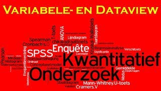 Kwantitatief Onderzoek 06 SPSS  Variabele en Dataview [upl. by Eemla69]