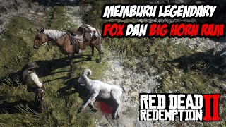 RDR2  TIPS RDR2  MEMBURU LEGENDARY FOX DAN BIG HORN RAM [upl. by Tioneb]