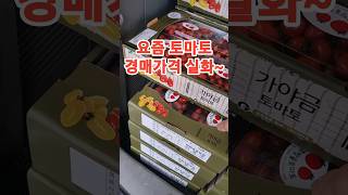 당신은 구독 좋아요 클릭을 할것이다 고령군 스마트팜 농가 [upl. by Eibrab]