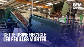 Cette usine recycle les feuilles mortes [upl. by Becka599]