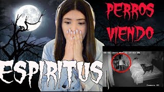 REACCIONANDO A VIDEOS DE TERROR CAPTADOS EN CAMARA💀🎥 [upl. by Nelram]