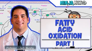 Metabolism  Fatty Acid Oxidation Part 1 [upl. by Columbus]