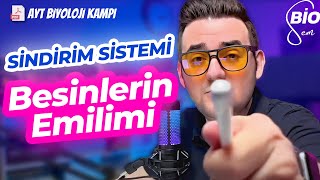 Sindirim Sistemi4 Besinlerin Emilimi ve Hastalıklar  Ayt Biyoloji Konu Anlatımı 11 Sınıf  2024 [upl. by Standford]