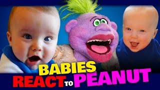 BABIES REACT to PEANUT  JEFF DUNHAM [upl. by Enial]