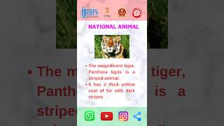 Bengal Tiger Indias National Animal BengalTigerNationalAnimalIndiaWildlife [upl. by Arreis]