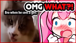 Chibidoki Reacts To 𝐇𝐈𝐋𝐀𝐑𝐈𝐎𝐔𝐒 Memes That Will 𝐁𝐋𝐎𝐖 Your Mind [upl. by Hanny]