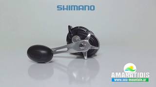 ΜΗΧΑΝΙΣΜΟΣ SHIMANO TORIUM 14HG [upl. by Nick]