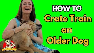 How to Crate Train an Older Dog [upl. by Aniretac]