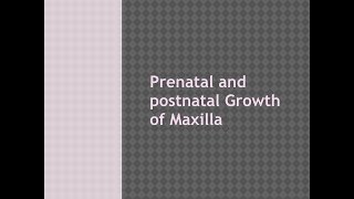 Growth of maxilla [upl. by Artinek992]