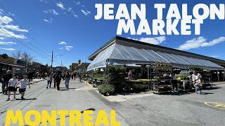 Montreal Jean Talon market  summer atmosphere in May [upl. by Ecyak]