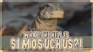 What the Hell is Simosuchus [upl. by Anilemrac6]