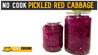 NO COOK refrigerator pickles  Pickled Red Cabbage [upl. by Stahl25]