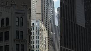 BIRDS Flying High 🕊️ architecture midtown newyork documentary birds [upl. by Dinan477]