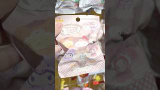 Hi Japan 🇯🇵 my luggage is full 😭 cinnamoroll kuromi mymelody [upl. by Gaiser]