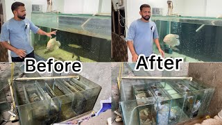 🤩WOW😍Monster Fish tank clean kra or sump filter cleaning time monsteraquarium sumpfilter fishtank [upl. by Sigismundo]