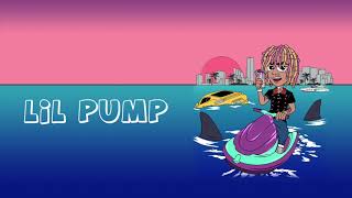 Lil Pump  quotWhitneyquot ft Chief Keef Official Audio [upl. by Ainatnas]