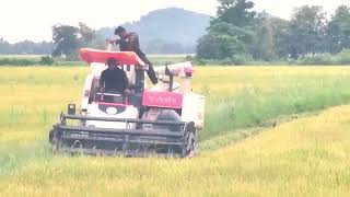 New generation Kubota rice harvester harvests very much [upl. by Yeo357]