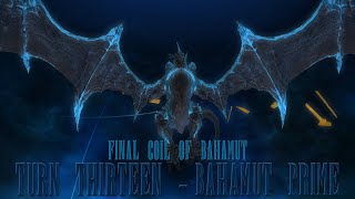 Final Coil of Bahamut  Turn Thirteen Bahamut Prime White Mage [upl. by Nylrahc]