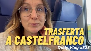 TRASFERTA A CASTELFRANCO  Daily Vlog 525 [upl. by Isac665]