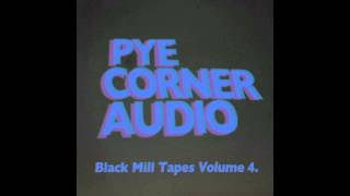 Pye Corner Audio  Cont No Stop [upl. by Naelopan]