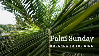 Palm Sunday  324  9am [upl. by Ilarrold305]