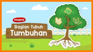 Belajar Kosakata Mengenal BagianBagian Tumbuhan dan Fungsinya  Yufid Kids [upl. by Eicyal383]