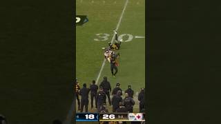 Steelers Game Sealing INTERCEPTION vs Giants  nfl gootball nflhighlights steelersvsgiants [upl. by Amoihc353]