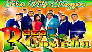 Raza Costena Corrido Mix  2021 [upl. by Pavior]