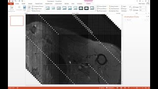 How to animate an image stack in powerpoint  radiology tutorial  MRI  CT [upl. by Staford]