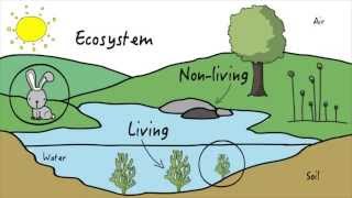 Unit 3 Ecosystems  KLU Science [upl. by Teage]