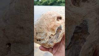 Finding crystallized wood fossils mineralstone batuakikfosil gemstone agate fosilkayu [upl. by Atikram]