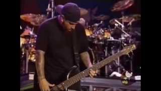 Korns Fieldy Being Awesome at Bass HD 1080p [upl. by Ddene]