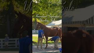 Keeneland September Yearling Sale [upl. by Airlee]