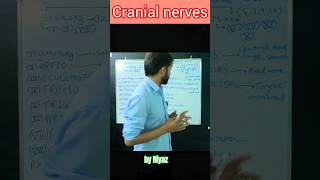 Cranial nerves 🧠✨ medical motivation shortfeeds viralvideo [upl. by Ruphina]