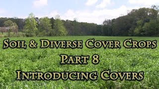 Soil amp Diverse Cover Crops Part 8 Introducing Covers [upl. by Nitniuq550]